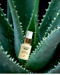 VITAPURE Ultra Antioxidant Nutrient Serum