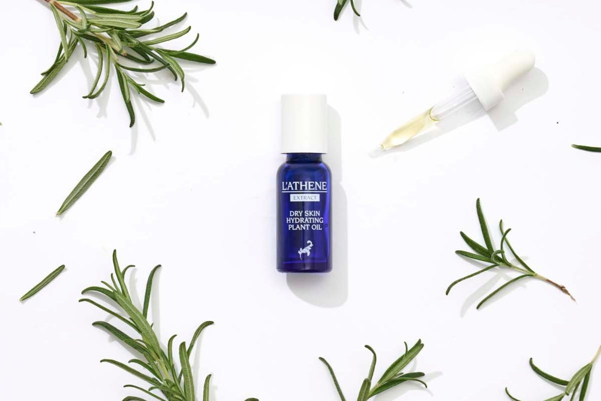 succulent oil EXTRACT Dry Skin Hydrating Plant Oil – L'ATHENE